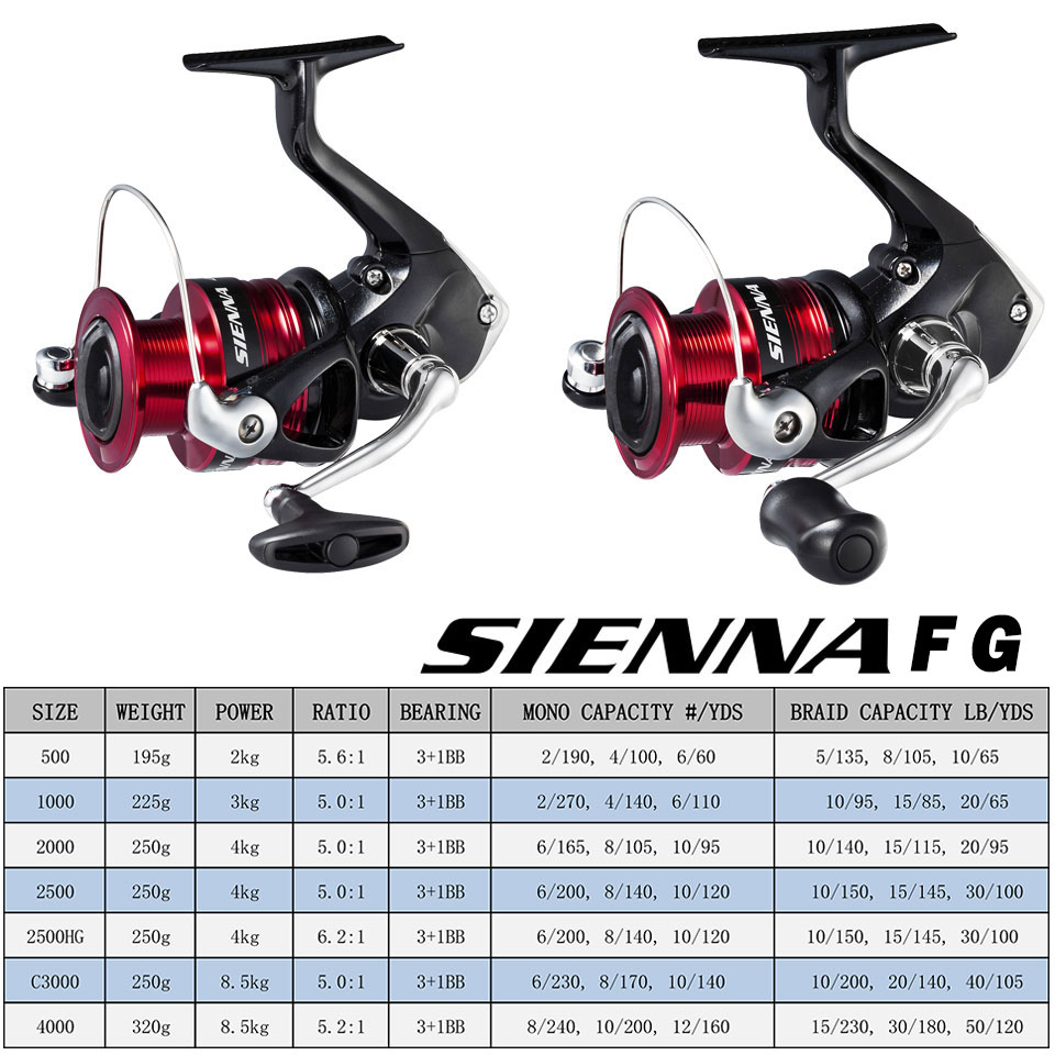 SHIMANO SIENNA Spinn-Angelroll – Shimano Reel Stradic Bewertung und Preis